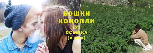 СК Каменск-Шахтинский