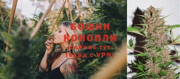 амф Фёдоровский