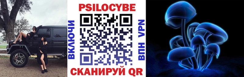 Купить где  Камызяк  Галлюциногенные грибы прущие грибы 