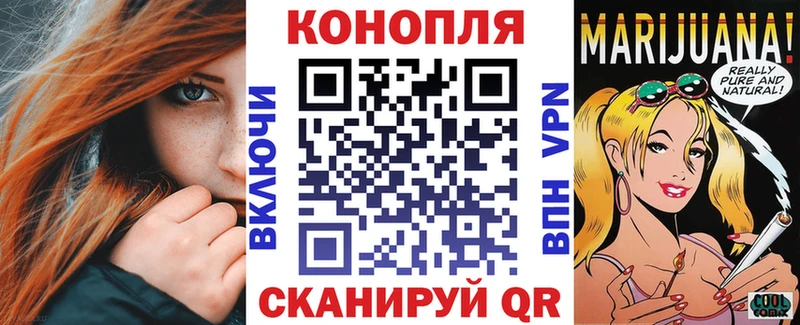 Купить закладки  Камызяк  Каннабис семена 