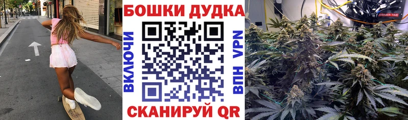 Шишки марихуана семена Камызяк